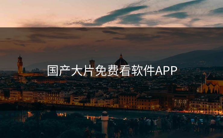 国产大片免费看软件APP 国产大片免费看软件APP