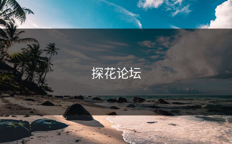 探花论坛