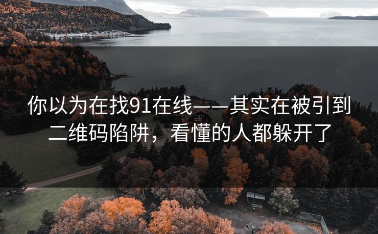 你以为在找91在线——其实在被引到二维码陷阱,看懂的人都躲开了 你以为在找91在线——其实在被引到二维码陷阱,看懂的人都躲开了